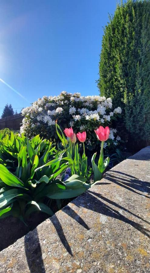 Penzion Novy Svet Krásno Buitenkant foto